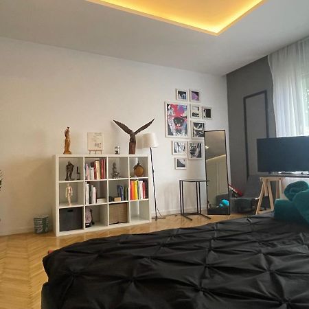Appartamento New Opera Studio Old City Center Self Check In Timisoara Esterno foto